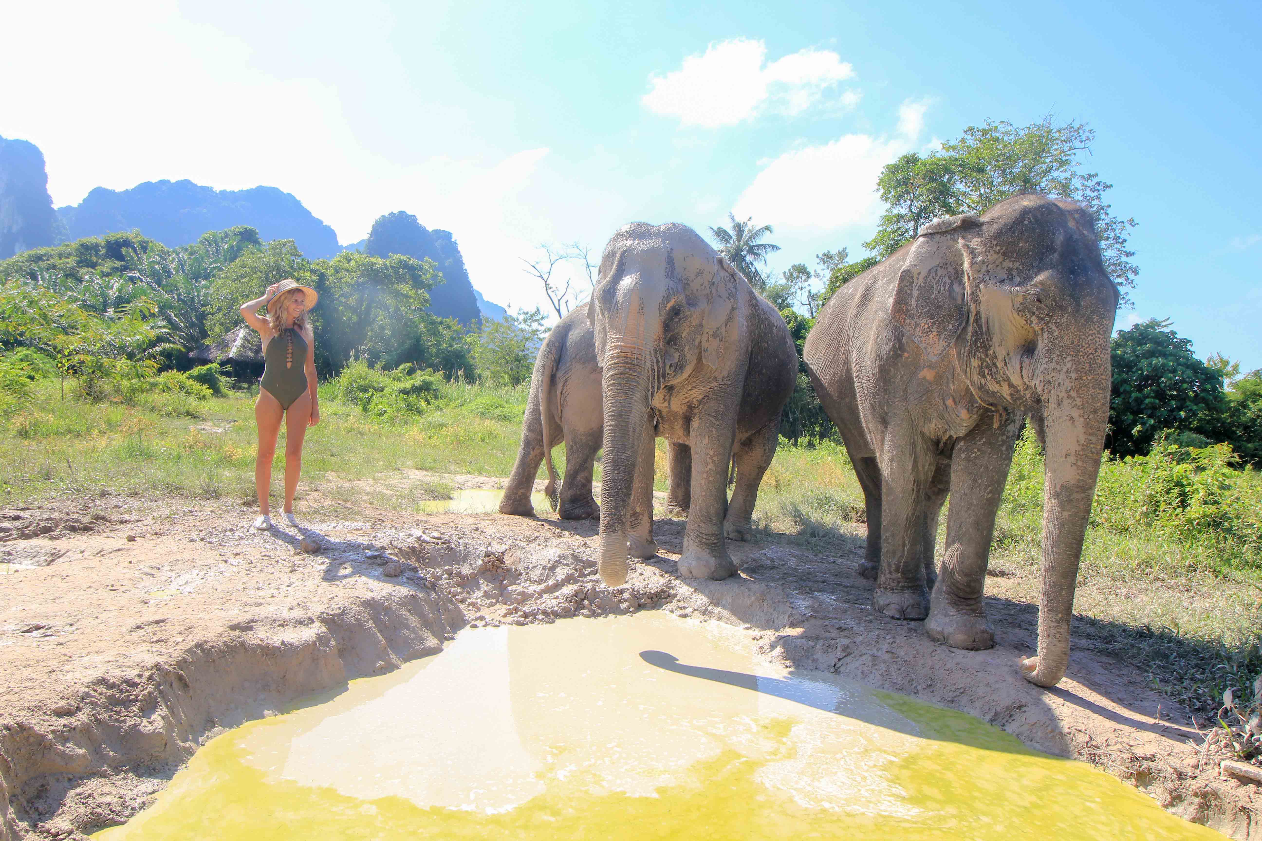 Krabi Elephant Sanctuary: Erlebnis Elefanten Baden - PlacesofJuma