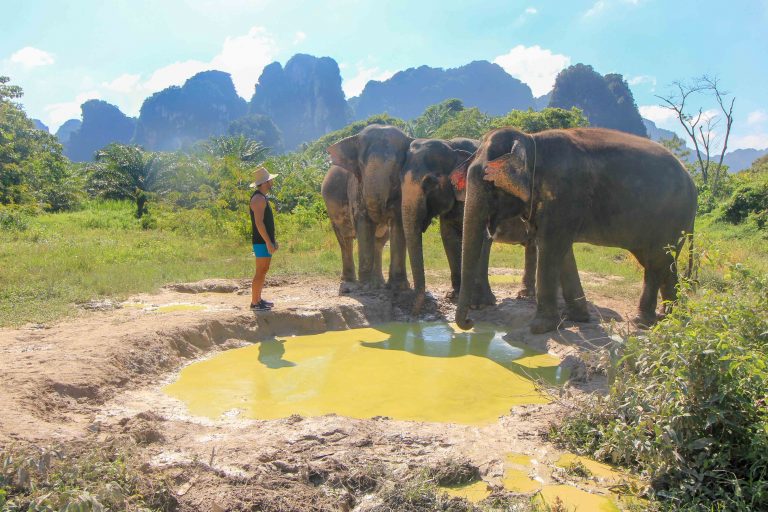 Krabi Elephant Sanctuary Erlebnis Elefanten Baden Placesofjuma